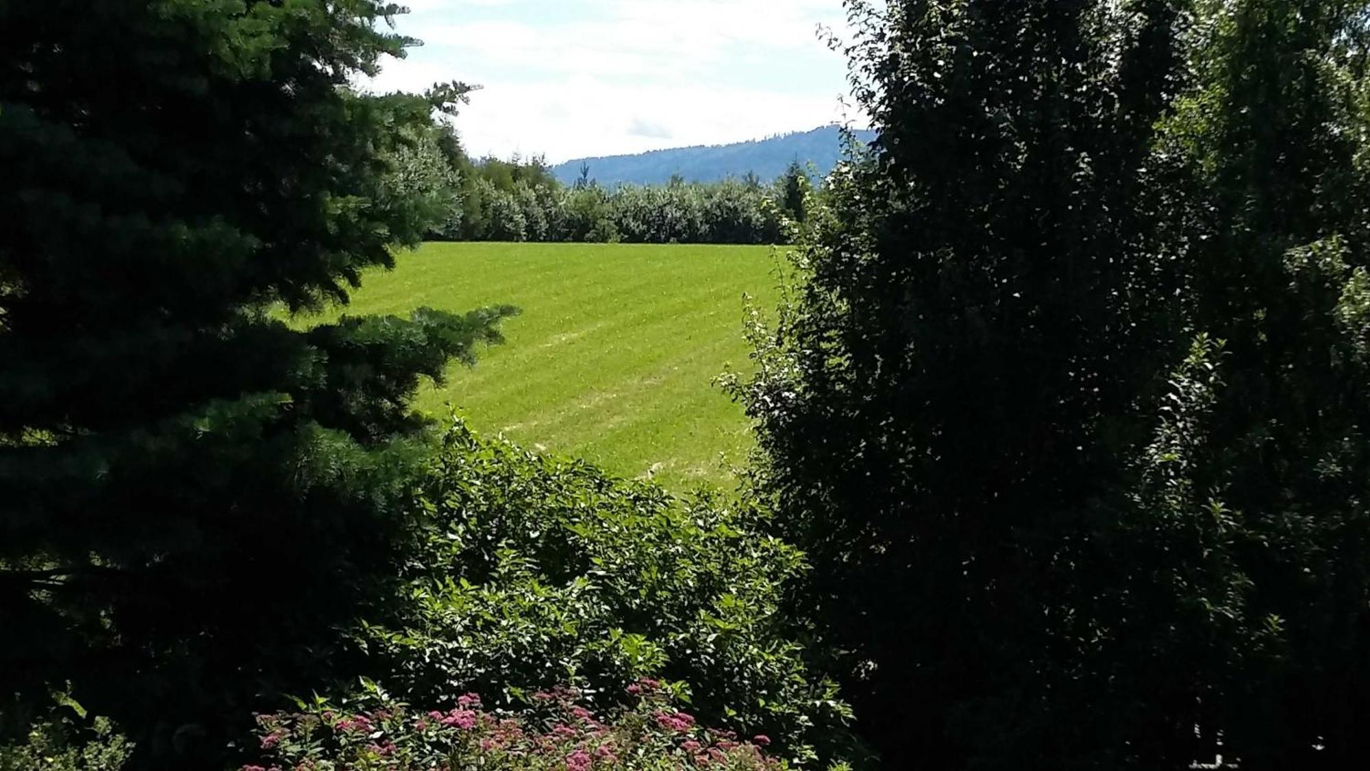 Ferienwohnung In Haidach Seewalchen Exterior foto